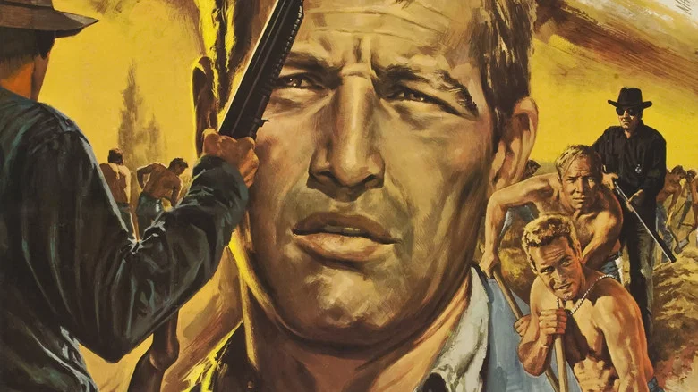 تصویر 2 لوک خوش‌دست