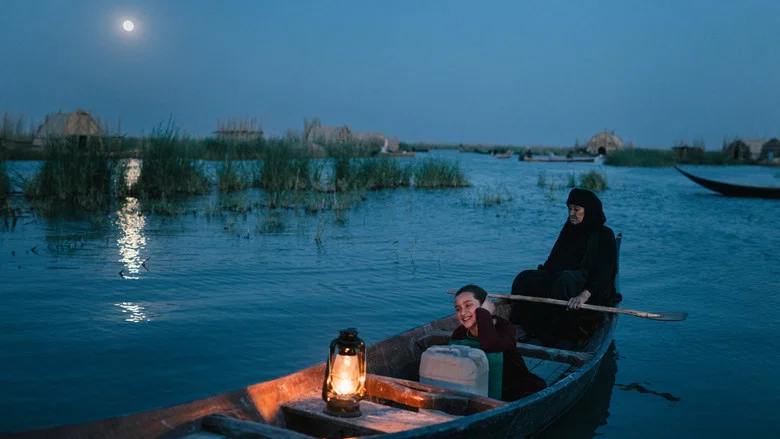 تصویر 6 کیک رئیس‌جمهور