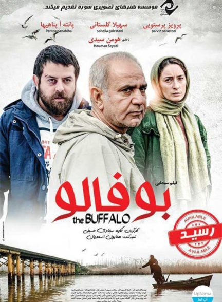 دانلود فیلم  بوفالو | The Buffalo