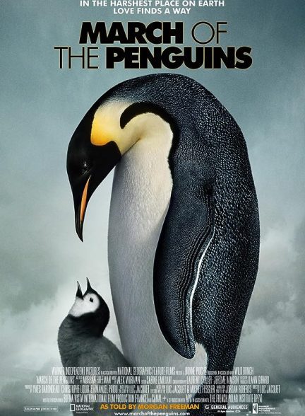 دانلود فیلم رژه پنگوئن‌ها |  March of the Penguins