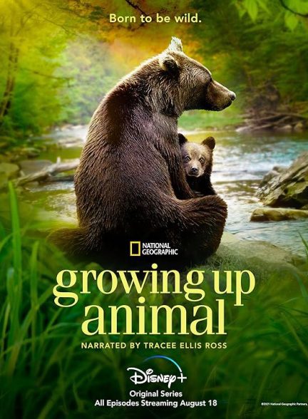 دانلود سریال بزرگ شدن حیوان Growing Up Animal