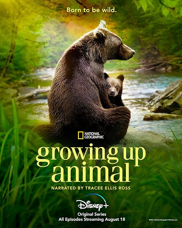 دانلود سریال بزرگ شدن حیوان Growing Up Animal