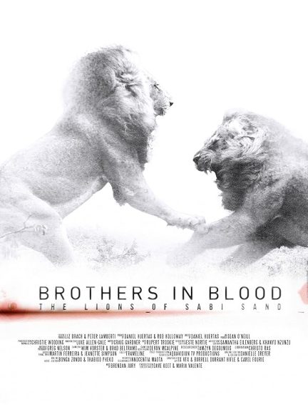 دانلود فیلم برادران تنی: شیر‌های سابی سند | Brothers in Blood: The Lions of Sabi Sand