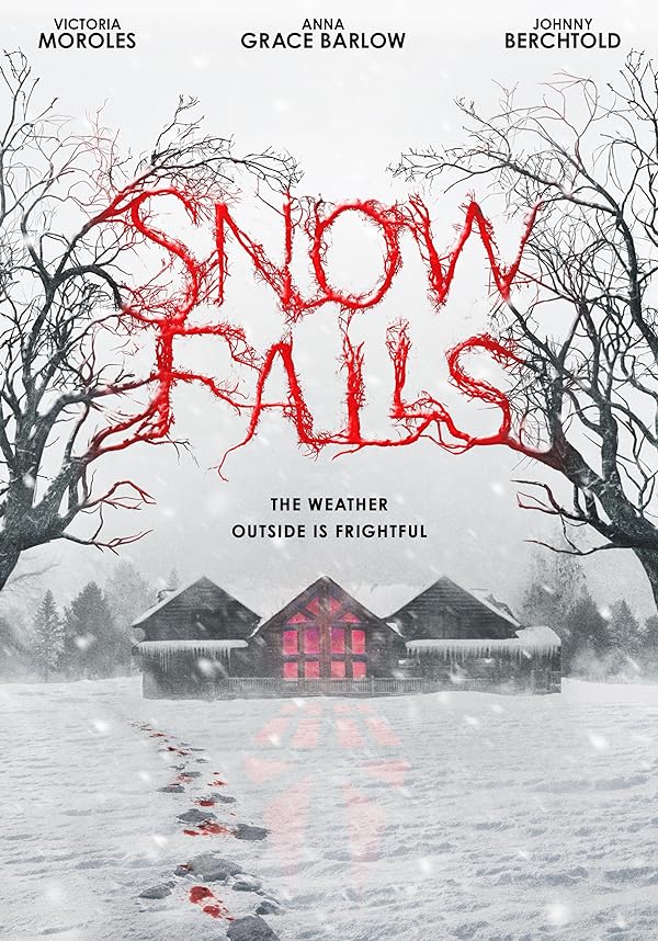 دانلود فیلم بوران | Snow Falls