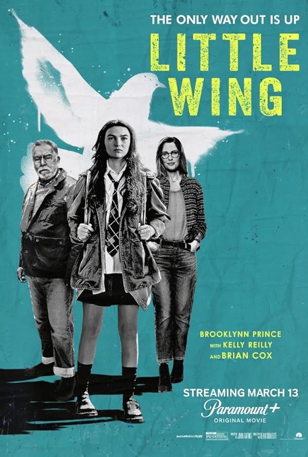 دانلود فیلم بال کوچک | Little Wing