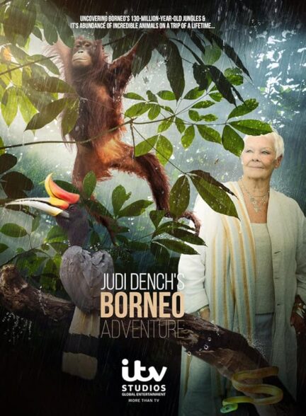 دانلود سریال  Judi Dench’s Wild Borneo Adventure