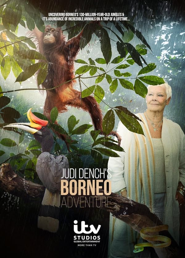 دانلود سریال  Judi Dench’s Wild Borneo Adventure