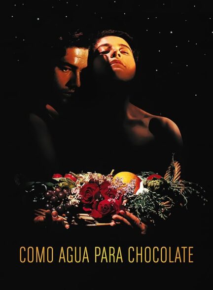 دانلود فیلم مثل آب برای شکلات | Like Water for Chocolate 1992