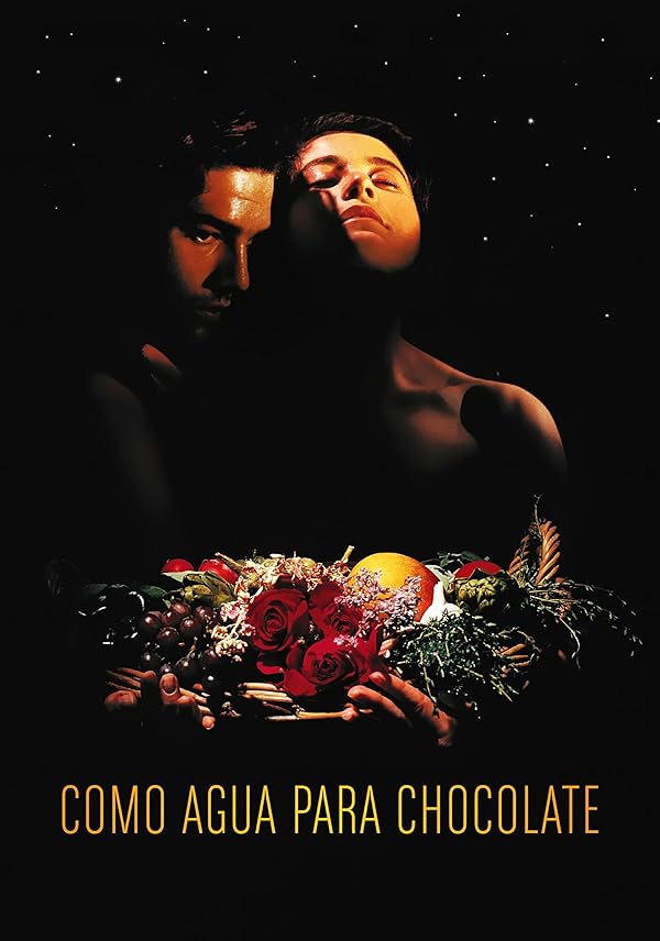 دانلود فیلم مثل آب برای شکلات | Like Water for Chocolate 1992