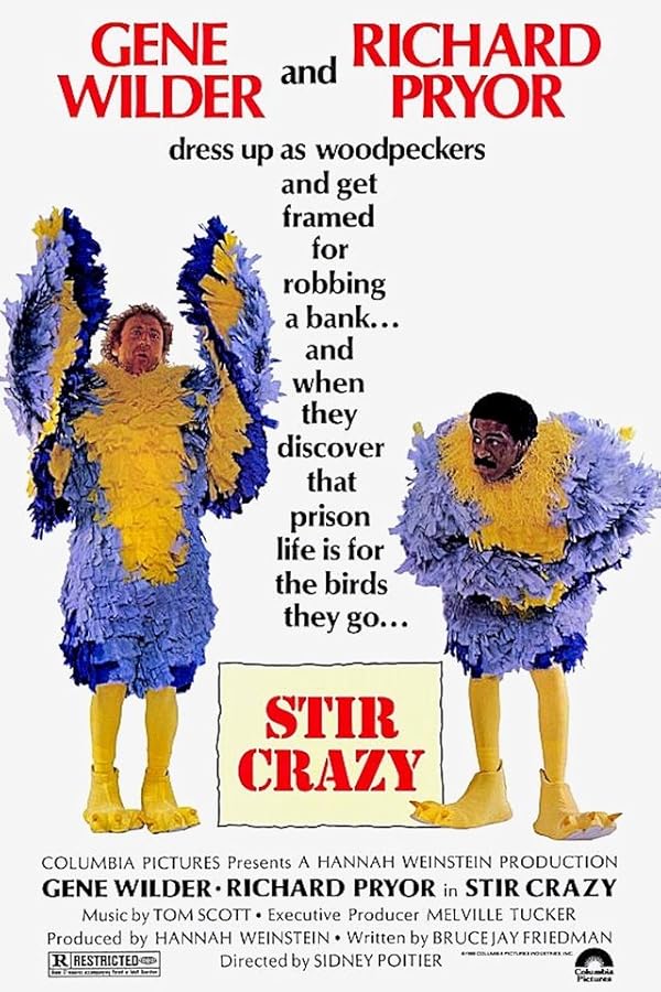 دانلود فیلم Stir Crazy