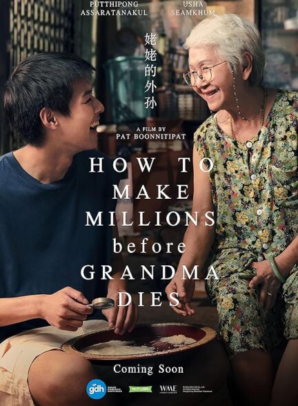 دانلود فیلم 2024 How to Make Millions Before Grandma Dies