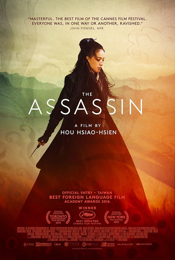 دانلود فیلم قاتل | The Assassin