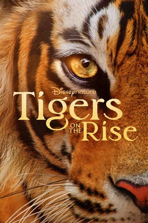 دانلود مستند ببرهای در حال ظهور | Tigers on the Rise 2024