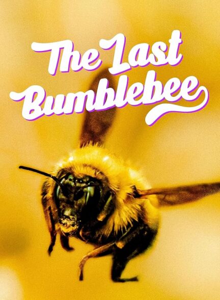 دانلود مستند آخرین زنبور عسل | The Last Bumblebee 2024