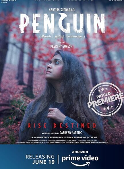 دانلود فیلم پنگوئن | 2020 Penguin