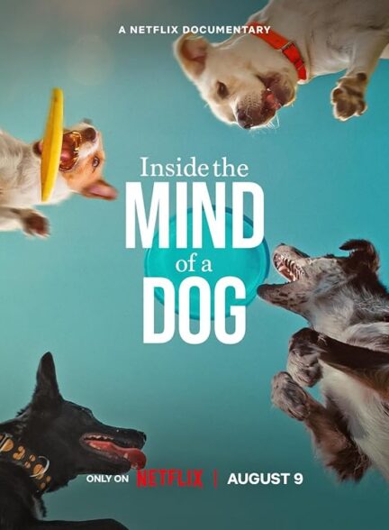 دانلود فیلم درون ذهن یک سگ | Inside the Mind of a Dog 2024