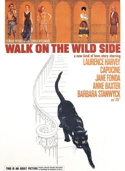 دانلود فیلم در وایلد ساید راه بروید | Walk on the Wild Side 1962