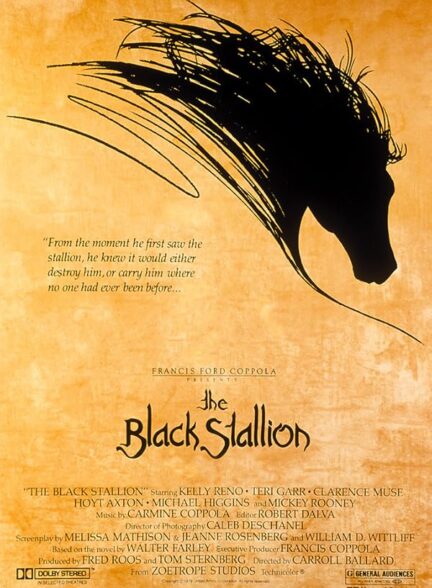 دانلود فیلم اسب نر سیاه | The Black Stallion