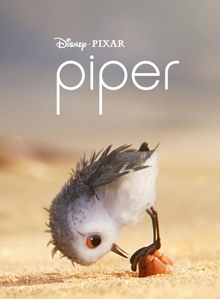 دانلود فیلم پایپر | Piper 2016