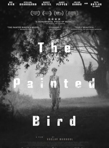 دانلود فیلم پرنده رنگین | 2019 The Painted Bird