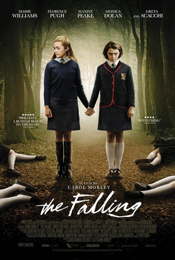 دانلود فیلم سقوط | The Falling