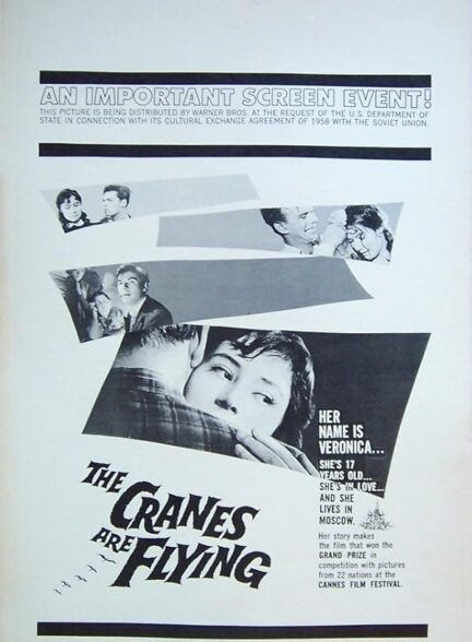 دانلود فیلم جرثقیل ها در حال پرواز هستند | The Cranes Are Flying 1957