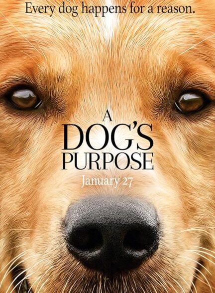 دانلود فیلم هدف یک سگ | A Dog’s Purpose 2017