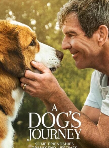 دانلود فیلم سفر یک سگ | A Dog’s Journey 2019