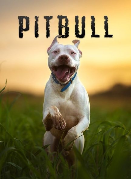 دانلود فیلم پیتبول | Pitbull 2018