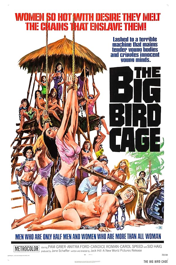 دانلود فیلم The Big Bird Cage 1972