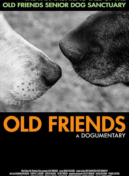 دانلود فیلم دوستان قدیمی، مستند | Old Friends, A Dogumentary 2022