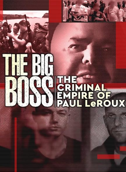 دانلود سریال رئیس بزرگ: جنایتکاری در قرن ۲۱ | The Big Boss: A 21st Century Criminal 2019