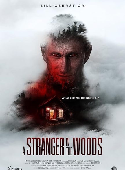 دانلود فیلم یک غریبه در جنگل | A Stranger in the Woods 2024