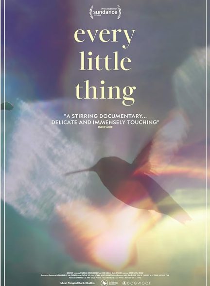 دانلود فیلم هر چیز کوچک | 2024 Every Little Thing