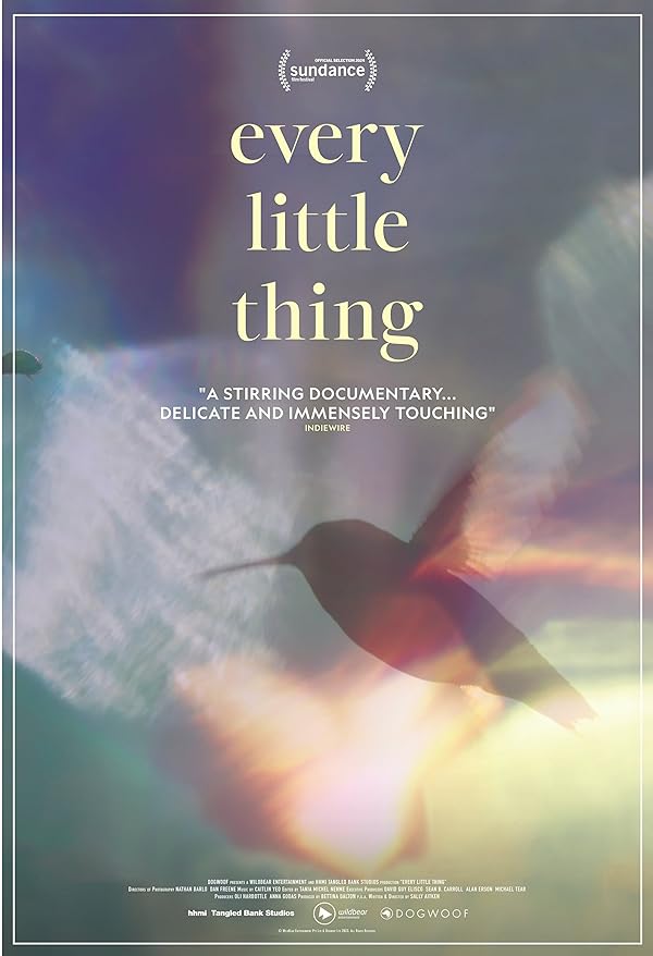 دانلود فیلم هر چیز کوچک | 2024 Every Little Thing