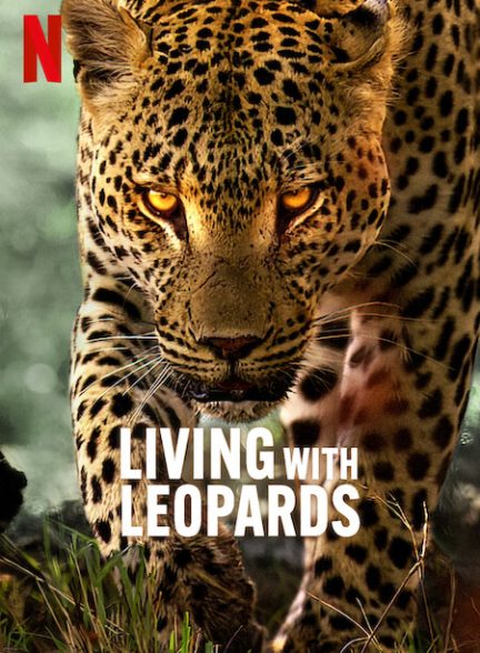 دانلود فیلم زندگی با پلنگ ها | 2024 Living with Leopards